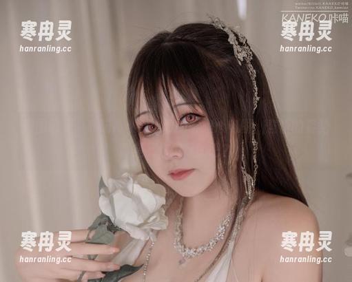 原图已到，咔喵KANEKO的厨娘心电图，煮饭的姿势真是...你们懂的吧？