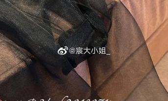 微密圈 - 下载宸大小姐的泳衣合集，再也不怕夏天里没有梳理思绪的时刻